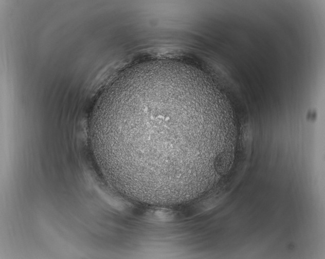 X0000112520506200908311400