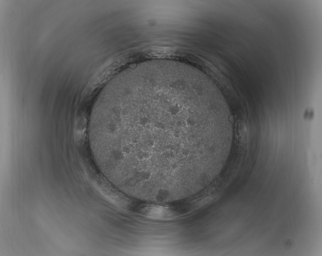 X0000112520507200908311400
