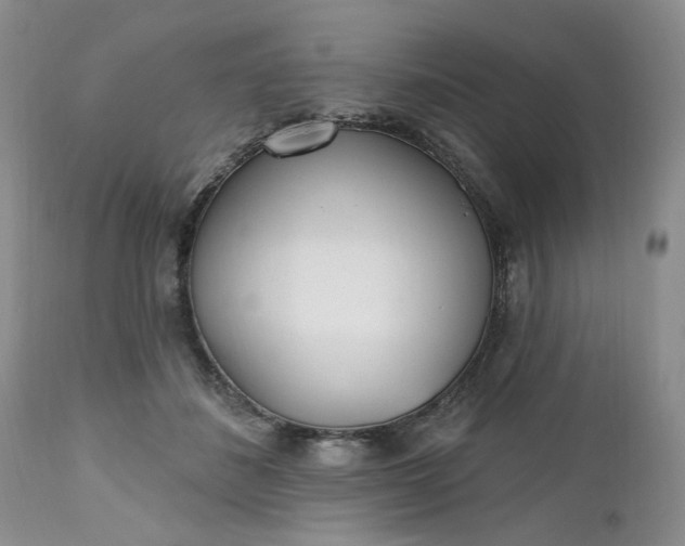 X0000112520508200908311400