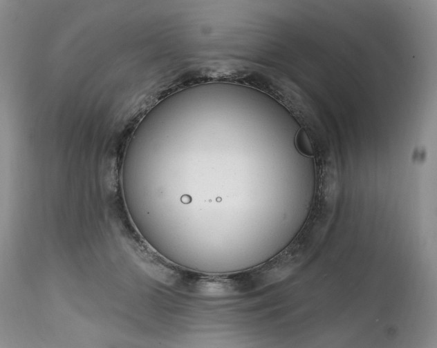 X0000112520510200908311400