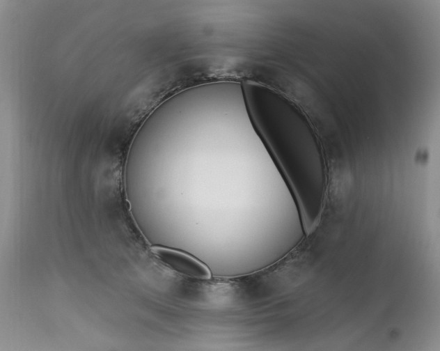 X0000112520513200908311400
