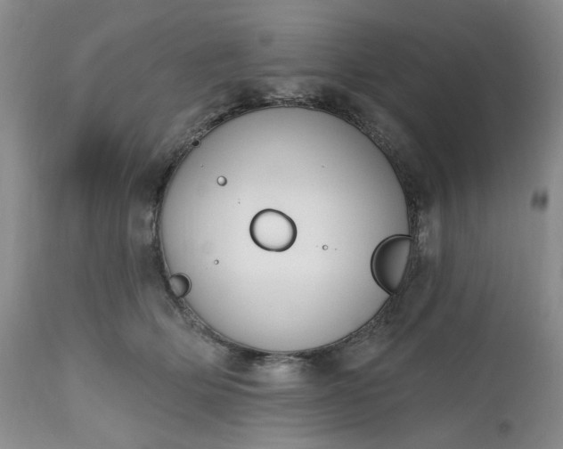 X0000112520514200908311400