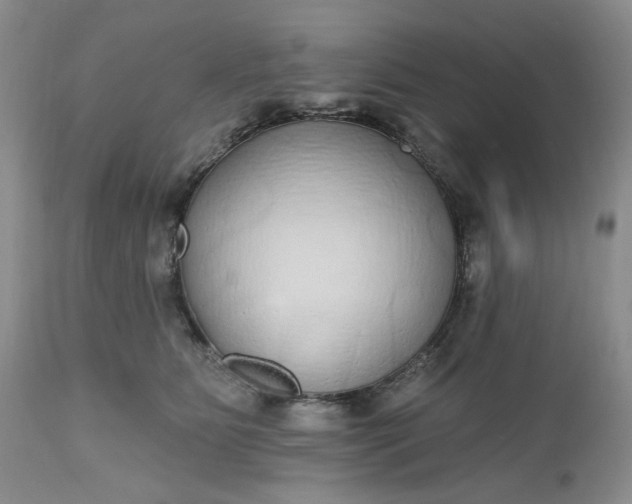X0000112520515200908311400