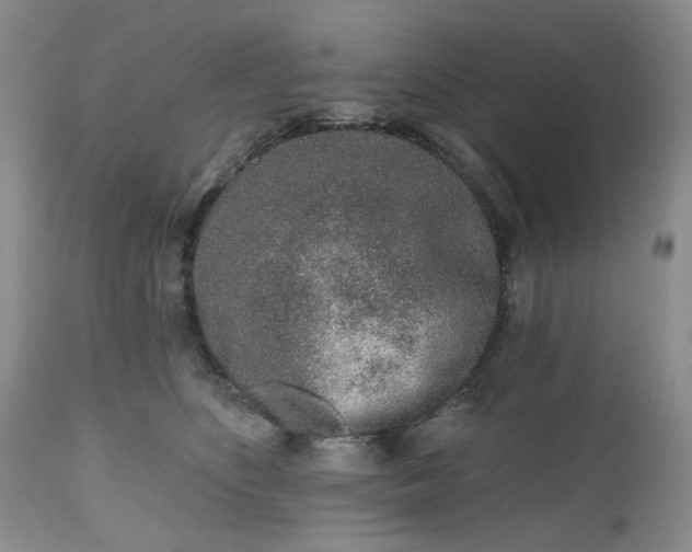 X0000112520516200908311400