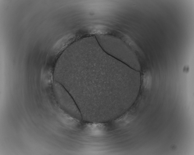 X0000112520517200908311400