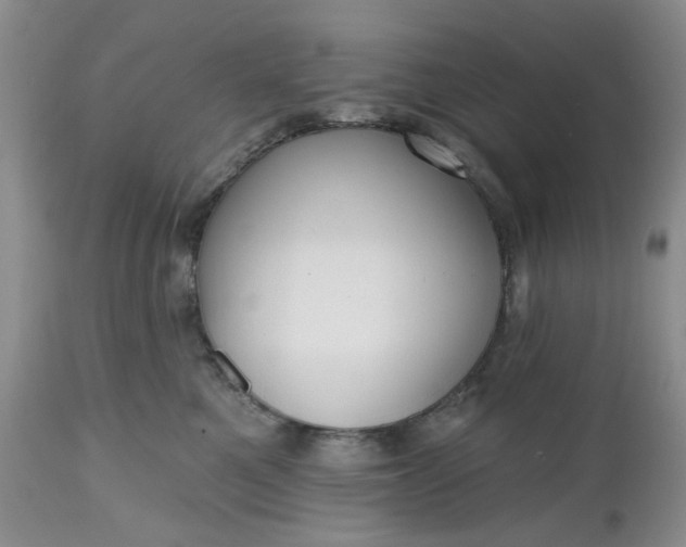 X0000112520521200908311400