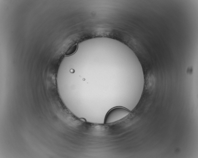 X0000112520522200908311400