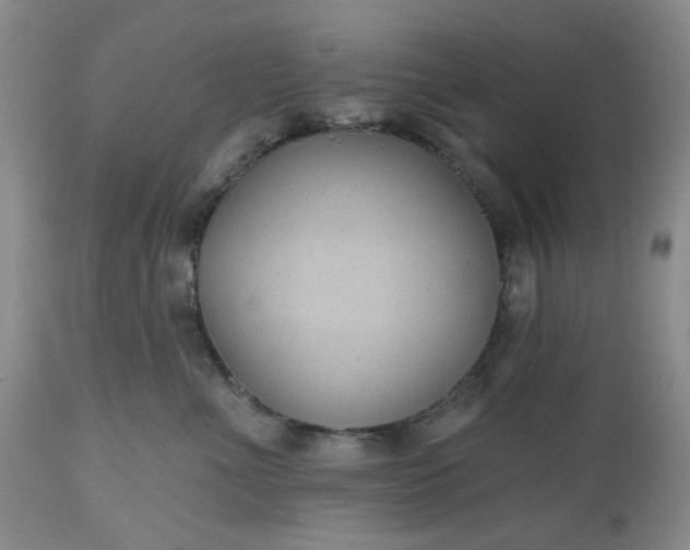 X0000112520523200908311400