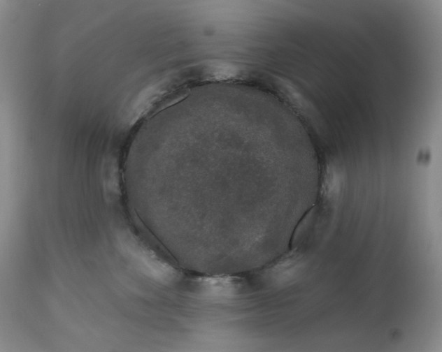 X0000112520524200908311400