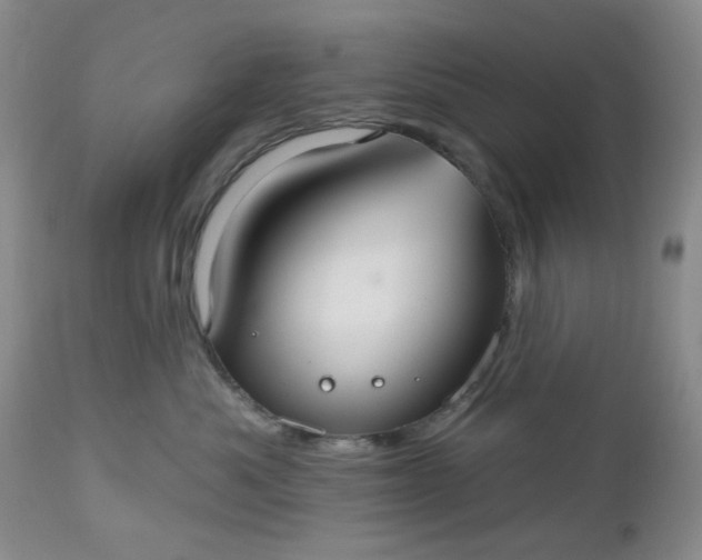 X0000112520525200908311400