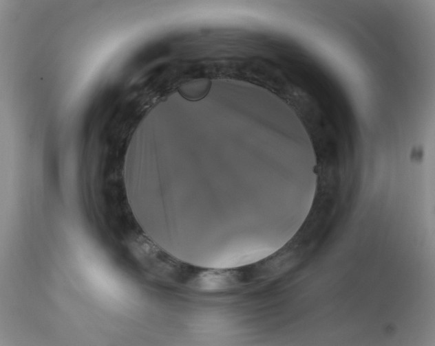 X0000112520526200908311400