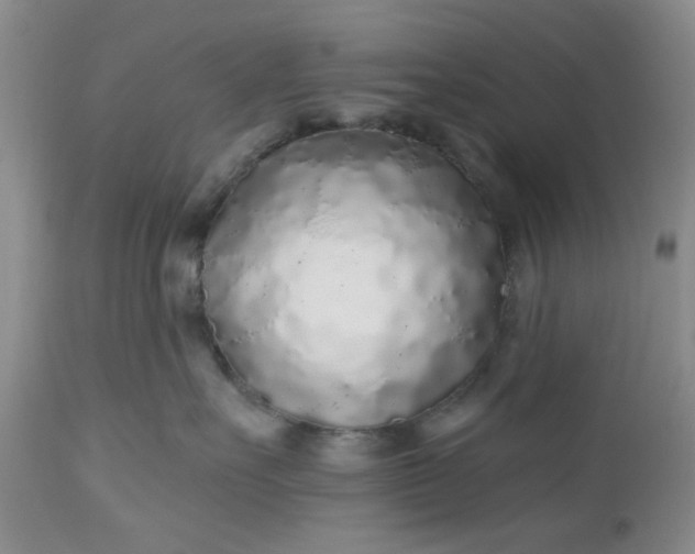 X0000112520527200908311400