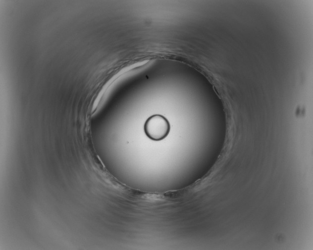 X0000112520528200908311400