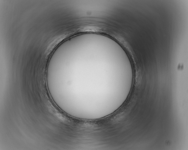 X0000112520529200908311359
