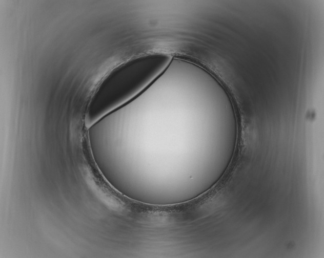 X0000112520530200908311359