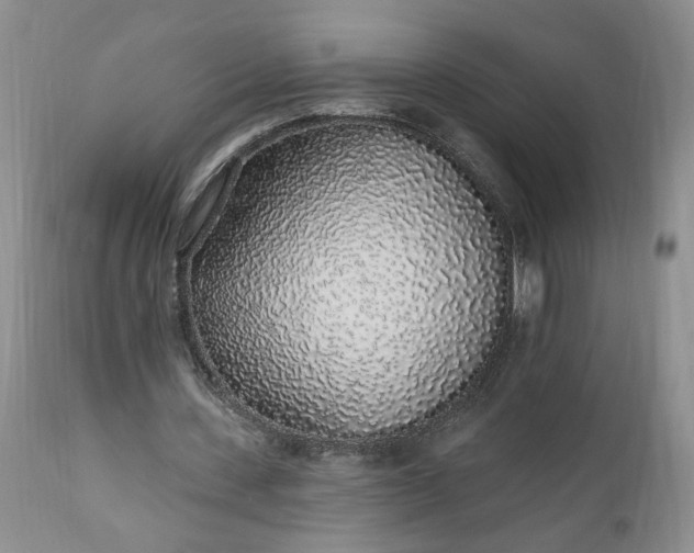 X0000112520531200908311359