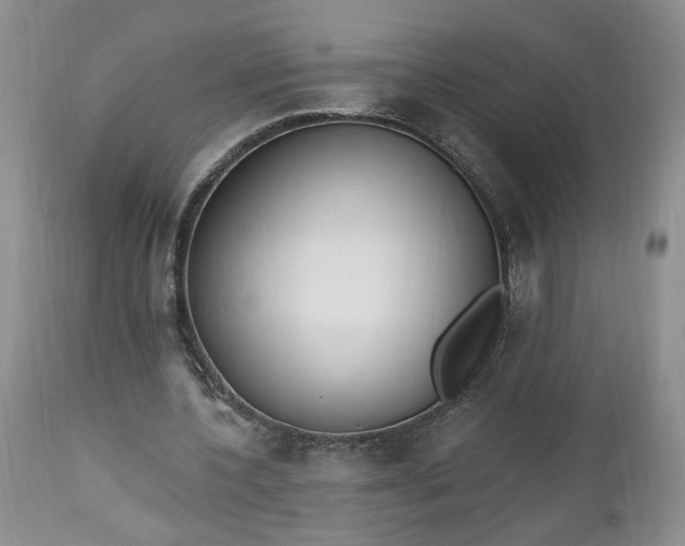 X0000112520532200908311359