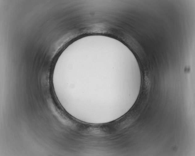 X0000112520534200908311359