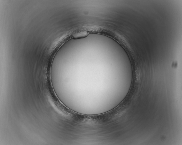 X0000112520538200908311359