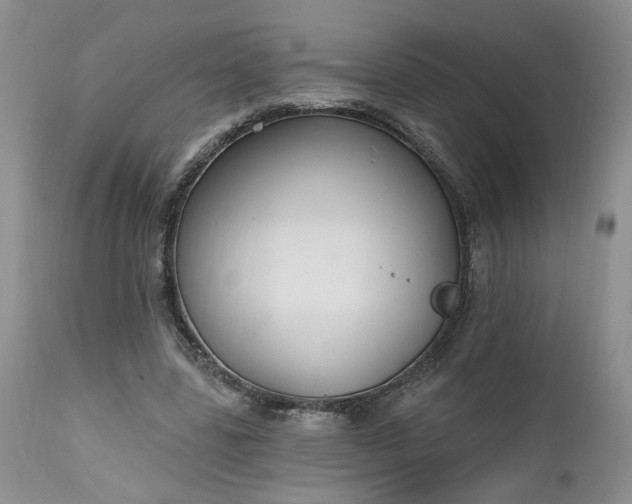 X0000112520539200908311359