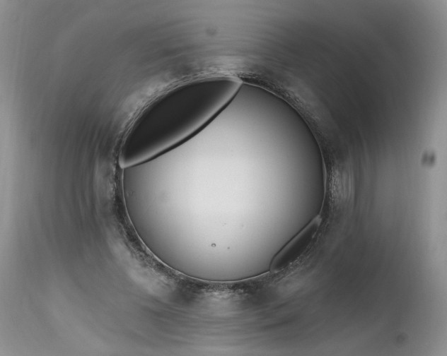 X0000112520540200908311400