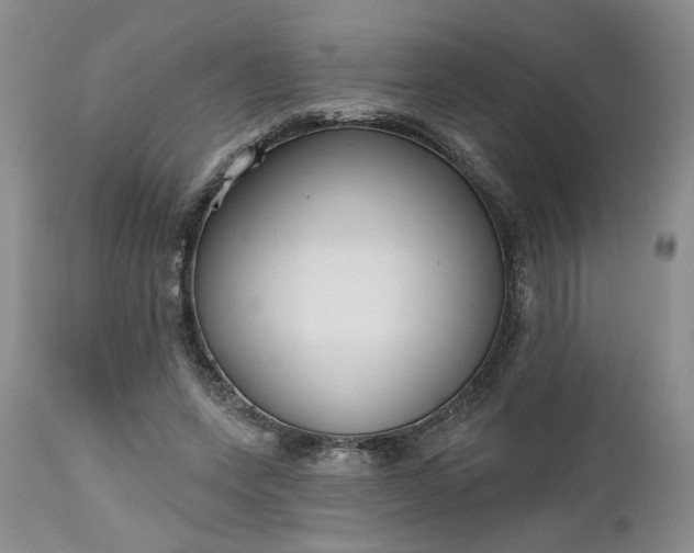 X0000112520543200908311400