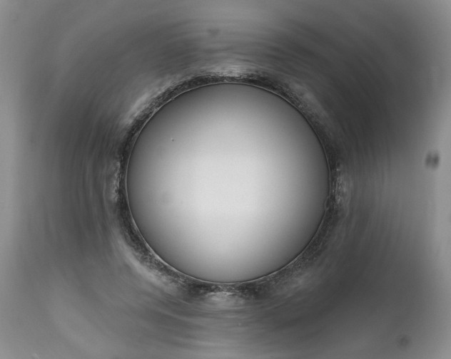 X0000112520544200908311400