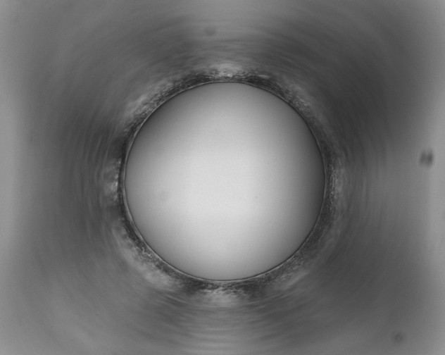 X0000112520545200908311400