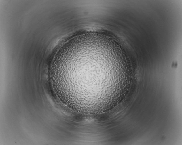 X0000112520547200908311400