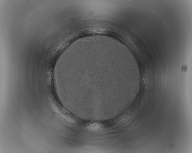 X0000112520551200908311400