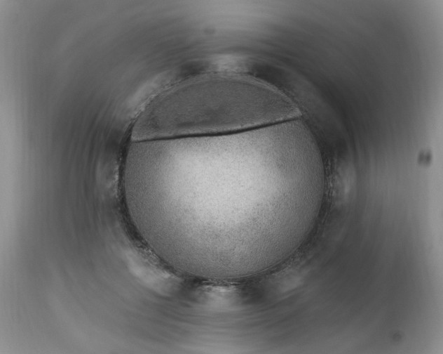 X0000112520552200908311400