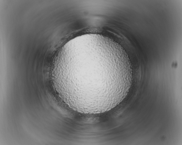 X0000112520553200908311400