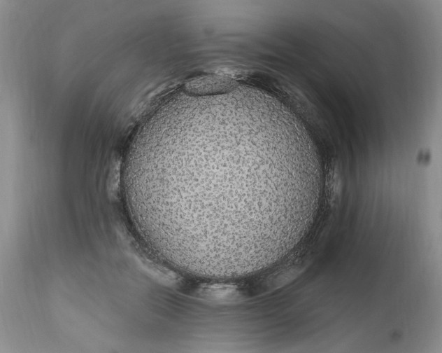 X0000112520554200908311400