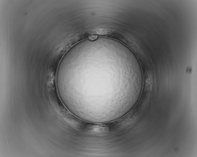 X0000112520555200908311400