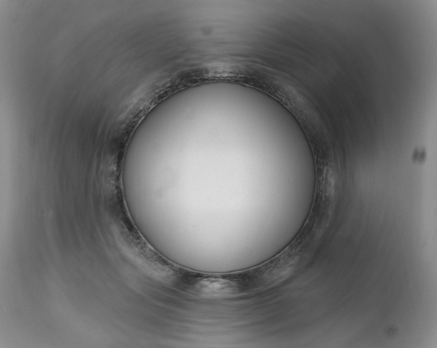 X0000112520557200908311400