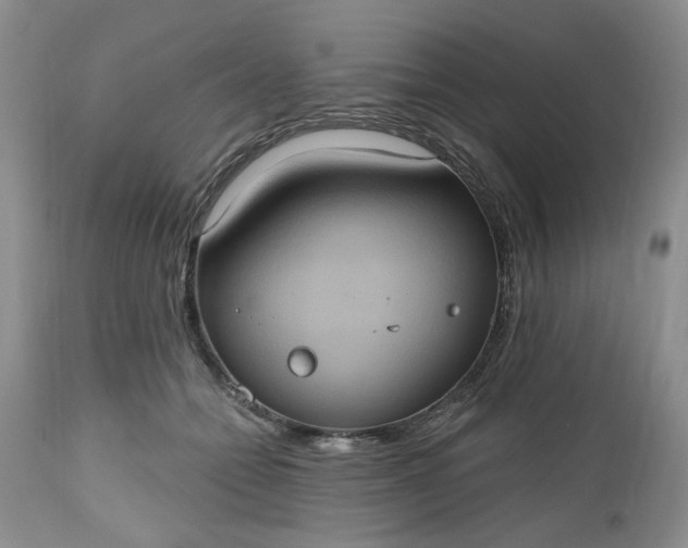 X0000112520558200908311400