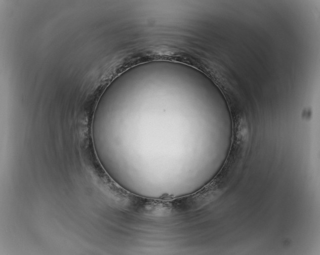 X0000112520559200908311400