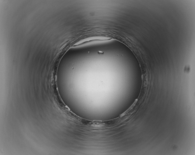 X0000112520560200908311400