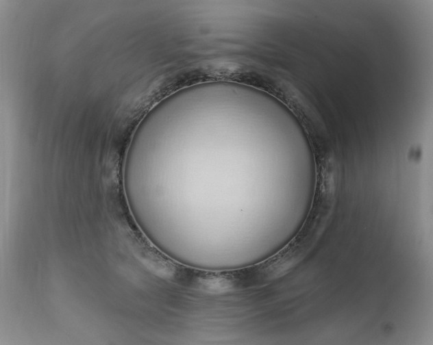 X0000112520561200908311400