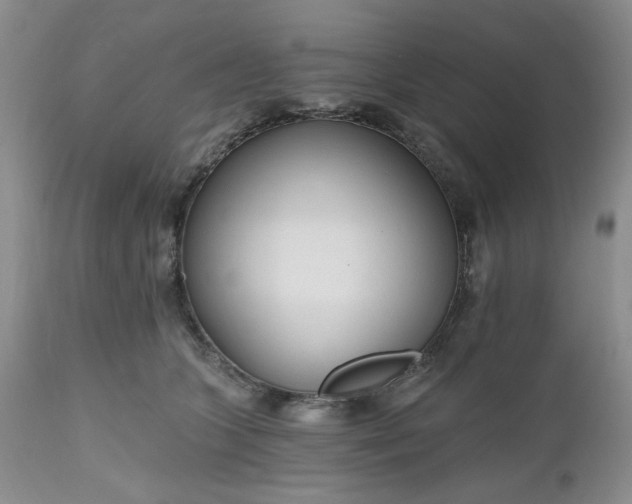 X0000112520563200908311400