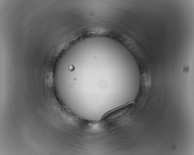 X0000112520564200908311400