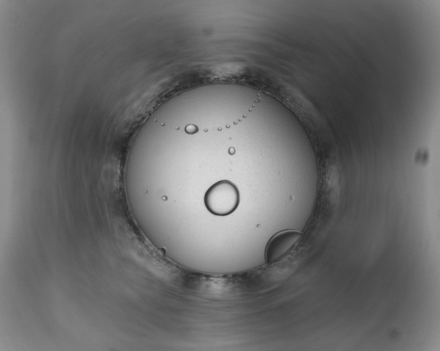 X0000112520565200908311400