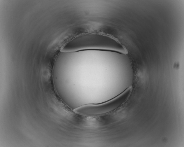 X0000112520566200908311400