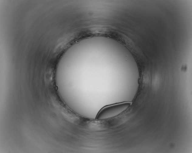 X0000112520567200908311400