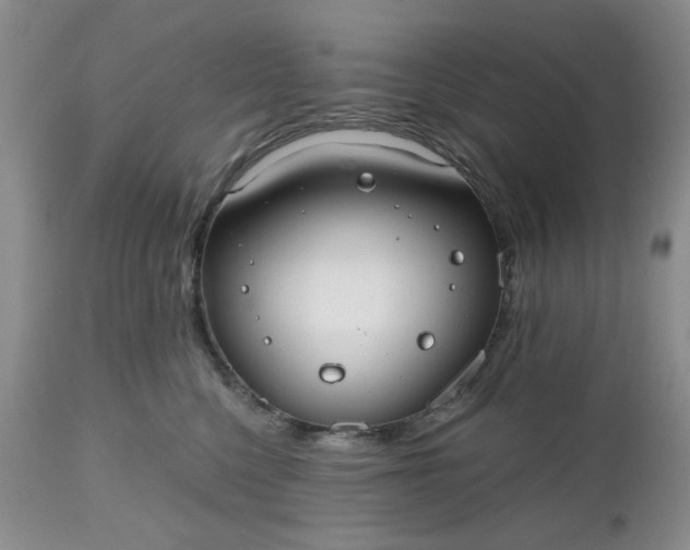 X0000112520568200908311400