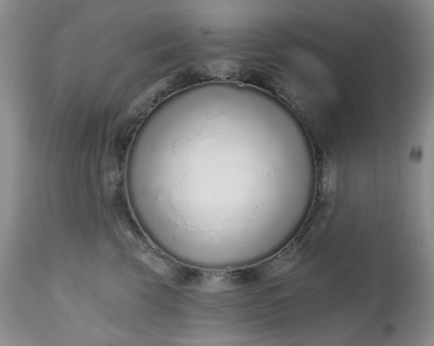 X0000112520569200908311400