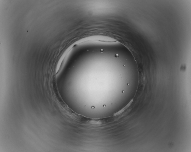 X0000112520570200908311400