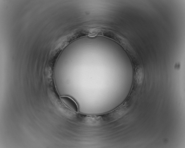 X0000112520571200908311400