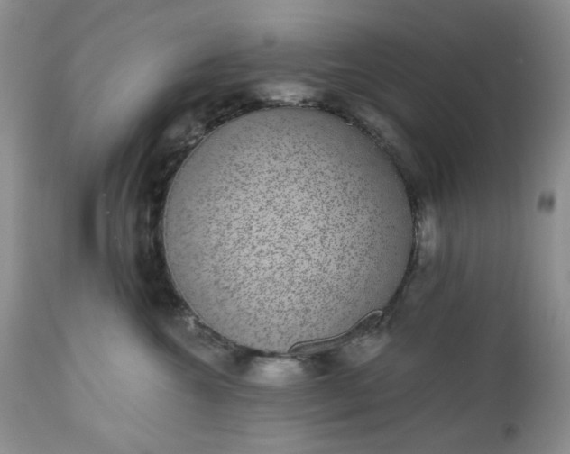 X0000112520572200908311400