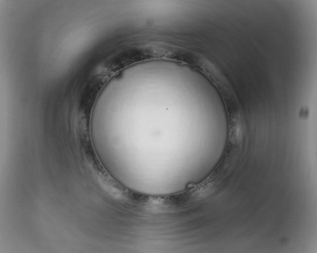 X0000112520573200908311400